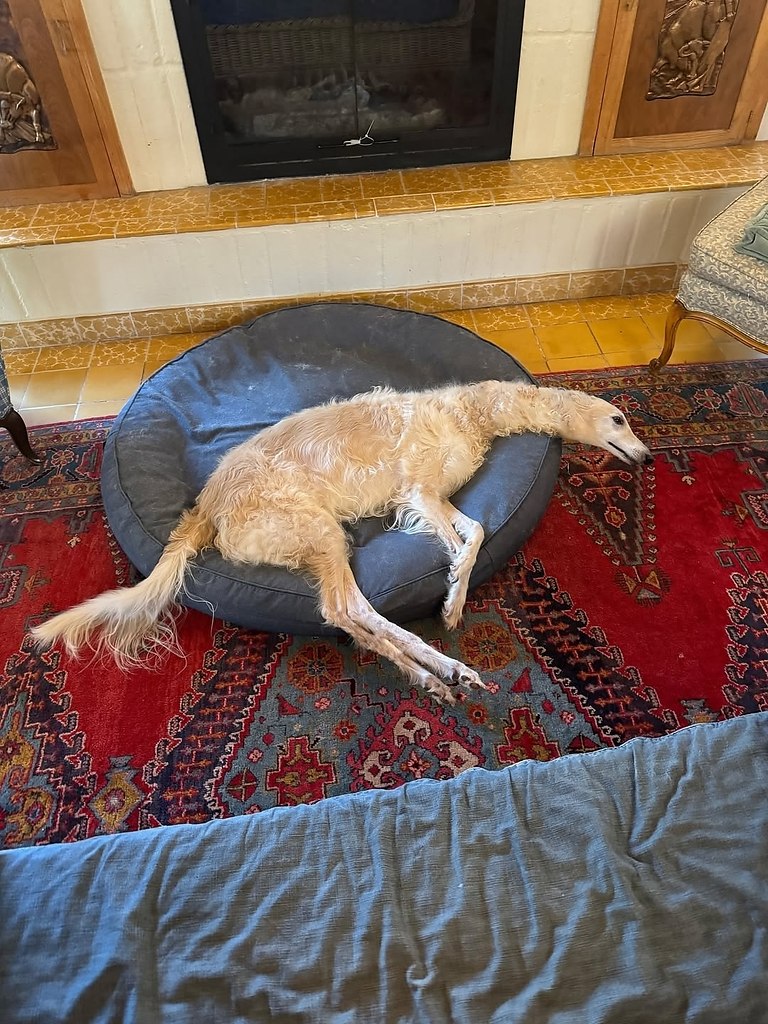  .   ,  -  .  .     . - 9