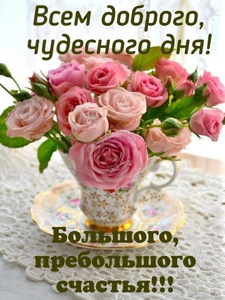   - 6  2025  17:10
