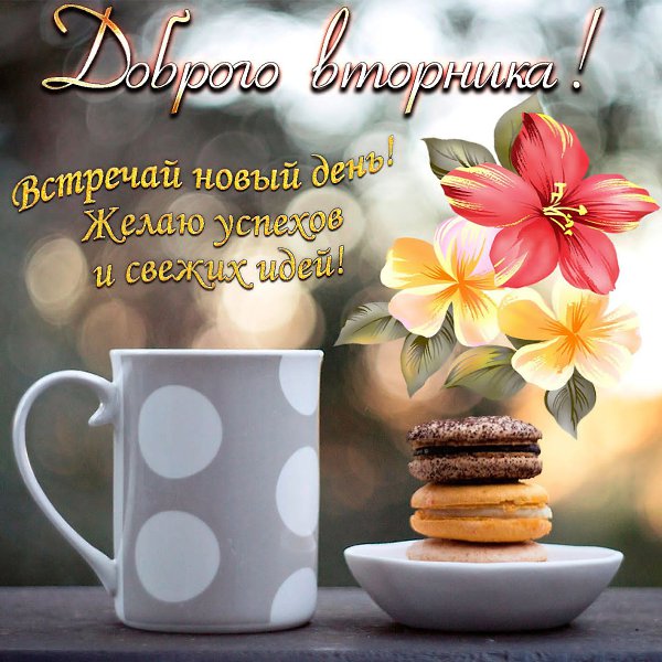 ***Victoria Viktorovna*** - 13  2025  05:14