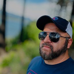 ����, 41 ���, ������