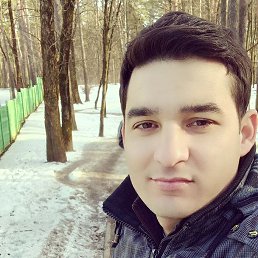 , 33, 