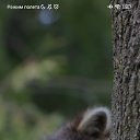 ���� ���������, ������, 42 ���� - ��������� 25 ������ 2023