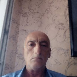 , 61, 