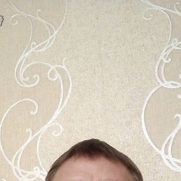  , 49, 