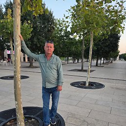  , 51 , 