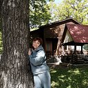 ���� �������, ������, 58 ��� - ��������� 29 ���� 2025 � ������ ���� ����������