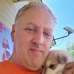 ����, ������������, 50 ���