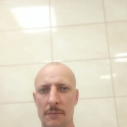 , 40, 