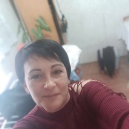 , 44, 