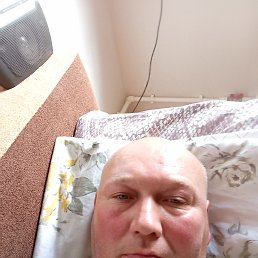 , 44, 