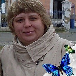 ������, ����� ����, 51 ���