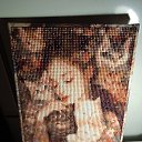 � ��� ������� ���� ��� ����....... �� ������� ���� ����������