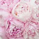 ���� ���������, ������, 50 ��� - ��������� 5 ������ 2025 � ������ ���� ����������