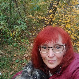 ���� ����, ������ ��������, 54 ���� - ��������� 10 ������ 2026