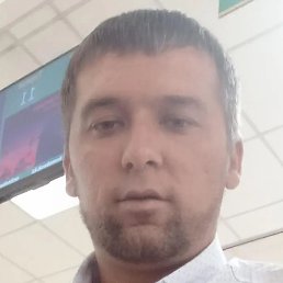 , , 31 