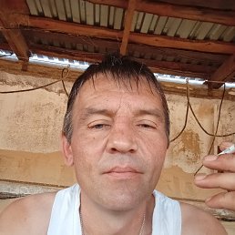 , 39, 