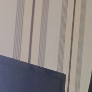 , 36 , 