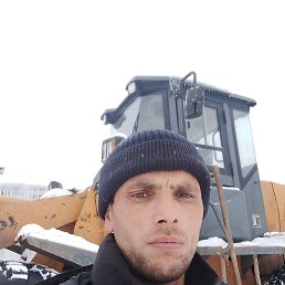 �������, 37 ���, ���