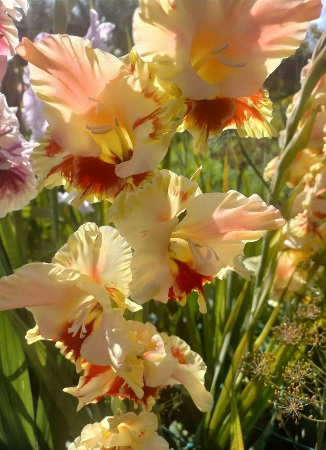  .        ,,  ,   ...