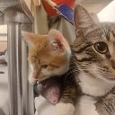 ���� ������, �����-��������� - ��������� 21 ������ 2025 � ������ ������ ��������