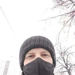 �������, ������, 41 ���