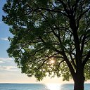 ���� ������, ������, 48 ��� - ��������� 5 ������ 2026 � ������ ������ ��������