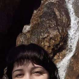 �����, 41 ���, �����������