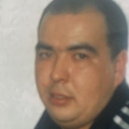 �����, ���������