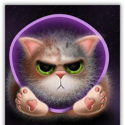 Alex2026, ���������, 53 ����