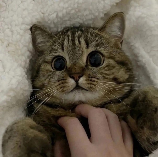     - 2
