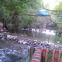  Bertan, , 63  -  23  2025    