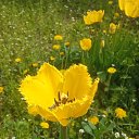 ���� ������, ���������, 57 ��� - ��������� 16 ������ 2025 � ������ ���� ����������