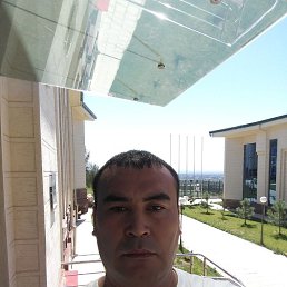  , 43, 