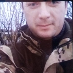 , 41, 