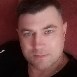 ����, ������, 41 ���