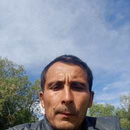 , 37, 