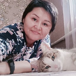 �����, ������, 50 ���