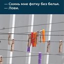 ���� ������, ������������, 44 ���� - ��������� 13 ���� 2026 � ������ ������ ��������