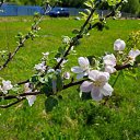 ���� ������, ������, 45 ��� - ��������� 1 ������� 2025 � ������ ���� ����������