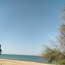 ���� �������, ������, 41 ��� - ��������� 26 ������ 2026