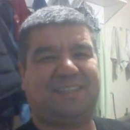 �����, �����-���������, 49 ���