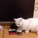 ���� �������, �����, 54 ���� - ��������� 20 ������ 2025 � ������ ���� ����������