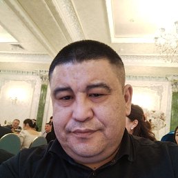 ���� ������, ������, 44 ���� - ��������� 2 ������� 2024