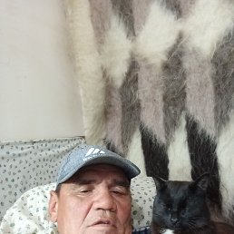 , 49 , 