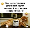 ���� �����, ������ ����� - ��������� 7 ����� 2026 � ������ ������ ��������