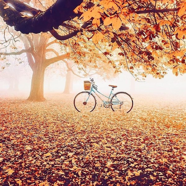 ��, ��� �������� ������� �������, � ��� ��� ����� ����� ������� �� ����, ��� ������ �����. � ����� ...