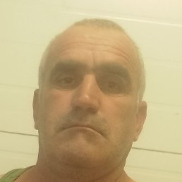 ������, ������, 46 ���