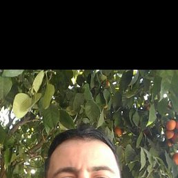 Rachid, 38, 