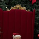 ���� �����, ������, 49 ��� - ��������� 1 ������ 2026 � ������ ���� ����������