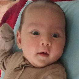 �������, ������, 23 ����